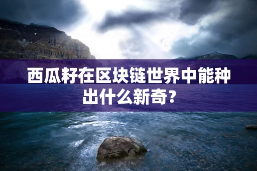 西瓜籽在区块链世界中能种出什么新奇？