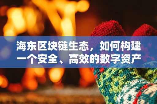 海东区块链生态，如何构建一个安全、高效的数字资产交易平台？