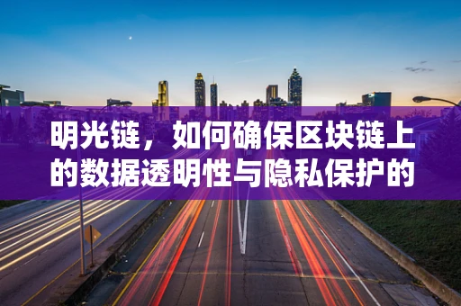 明光链，如何确保区块链上的数据透明性与隐私保护的平衡？
