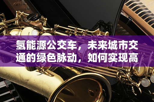 氢能源公交车，未来城市交通的绿色脉动，如何实现高效、安全、可持续的运营？