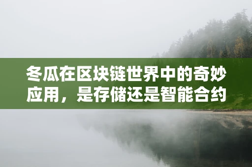 冬瓜在区块链世界中的奇妙应用，是存储还是智能合约的新宠？