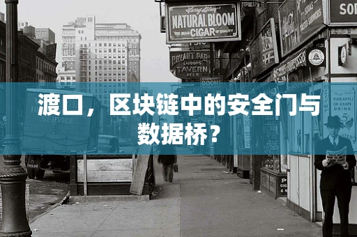 渡口，区块链中的安全门与数据桥？