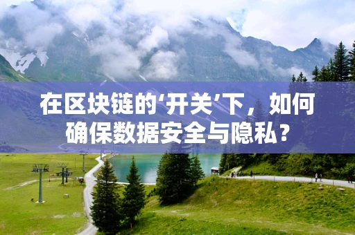 在区块链的‘开关’下，如何确保数据安全与隐私？