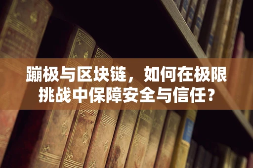 蹦极与区块链，如何在极限挑战中保障安全与信任？