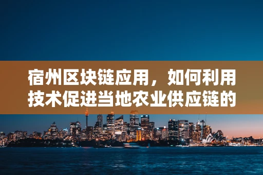 宿州区块链应用，如何利用技术促进当地农业供应链的透明与效率？