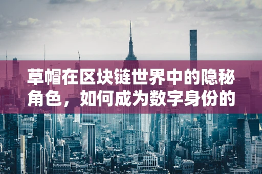 草帽在区块链世界中的隐秘角色，如何成为数字身份的守护者？