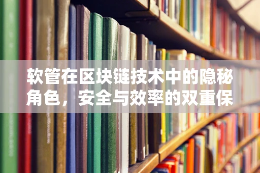 软管在区块链技术中的隐秘角色，安全与效率的双重保障？