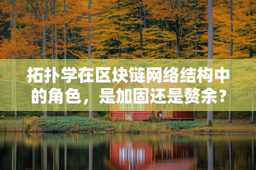 拓扑学在区块链网络结构中的角色，是加固还是赘余？