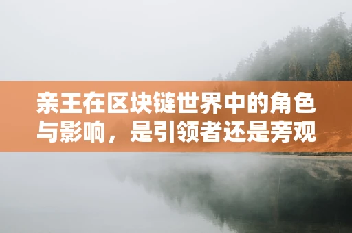 亲王在区块链世界中的角色与影响，是引领者还是旁观者？