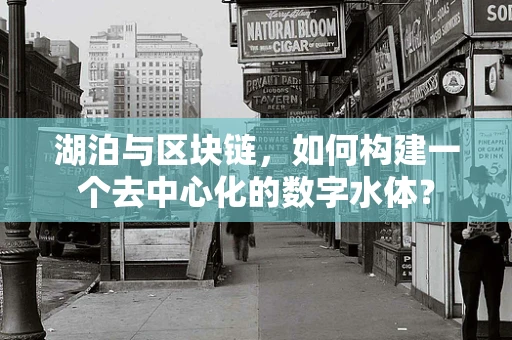 湖泊与区块链，如何构建一个去中心化的数字水体？