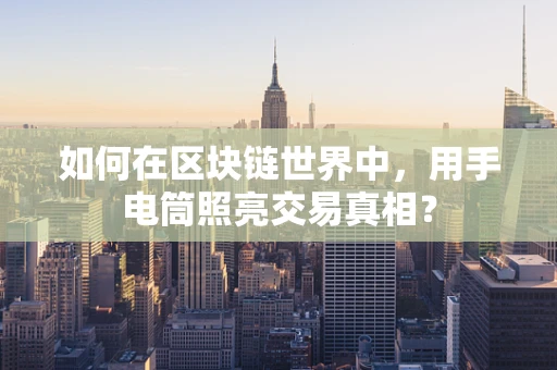 如何在区块链世界中，用手电筒照亮交易真相？