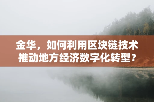 金华，如何利用区块链技术推动地方经济数字化转型？