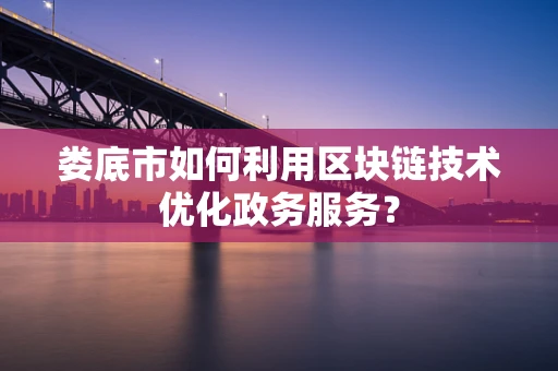 娄底市如何利用区块链技术优化政务服务？