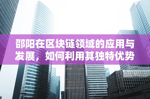 邵阳在区块链领域的应用与发展，如何利用其独特优势？