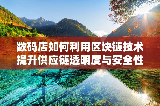 数码店如何利用区块链技术提升供应链透明度与安全性？