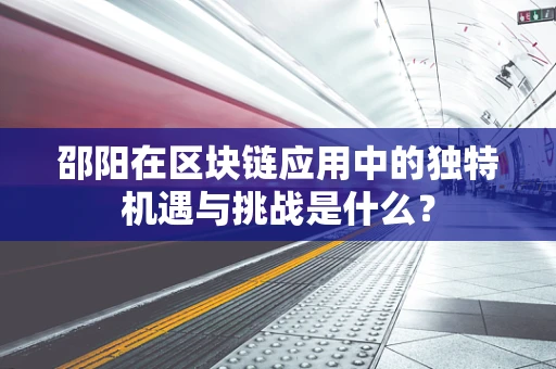 邵阳在区块链应用中的独特机遇与挑战是什么？