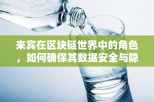 来宾在区块链世界中的角色，如何确保其数据安全与隐私？
