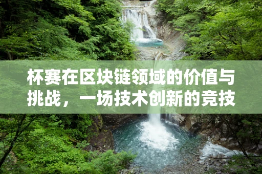 杯赛在区块链领域的价值与挑战，一场技术创新的竞技场？