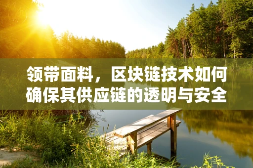 领带面料，区块链技术如何确保其供应链的透明与安全？