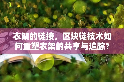 衣架的链接，区块链技术如何重塑衣架的共享与追踪？