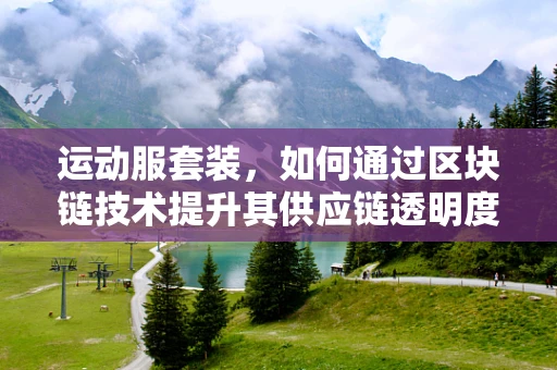 运动服套装，如何通过区块链技术提升其供应链透明度与安全性？