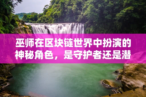 巫师在区块链世界中扮演的神秘角色，是守护者还是潜在威胁？