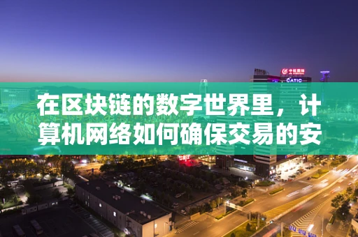 在区块链的数字世界里，计算机网络如何确保交易的安全与透明？