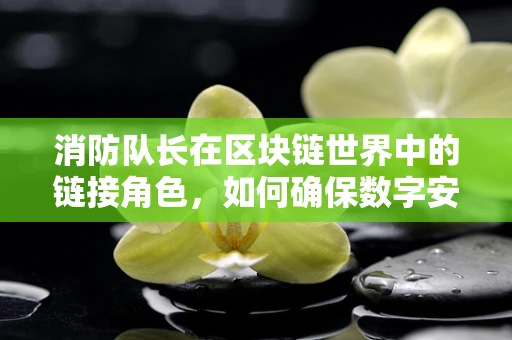 消防队长在区块链世界中的链接角色，如何确保数字安全的防火墙？