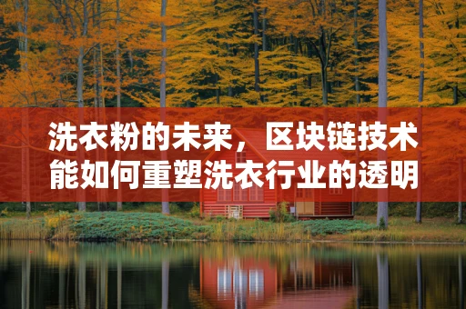 洗衣粉的未来，区块链技术能如何重塑洗衣行业的透明度与信任？