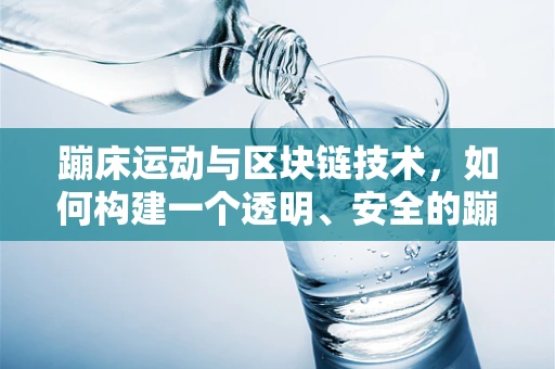蹦床运动与区块链技术，如何构建一个透明、安全的蹦床竞技平台？