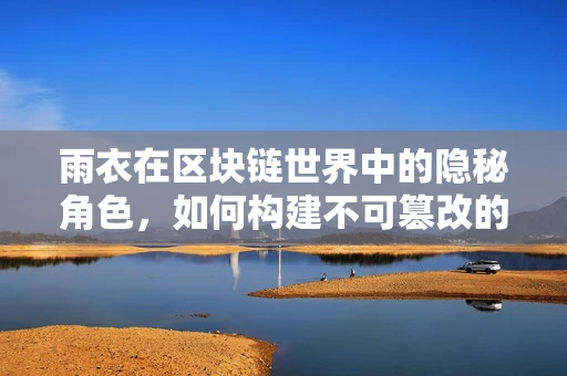 雨衣在区块链世界中的隐秘角色，如何构建不可篡改的数字雨衣？