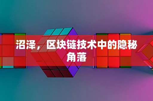 沼泽，区块链技术中的隐秘角落