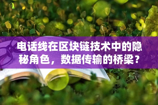 电话线在区块链技术中的隐秘角色，数据传输的桥梁？