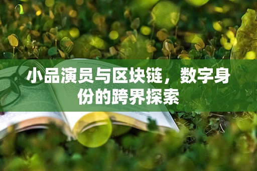 小品演员与区块链，数字身份的跨界探索