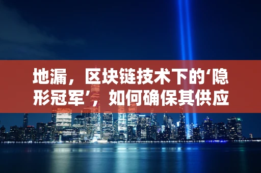 地漏，区块链技术下的‘隐形冠军’，如何确保其供应链的透明与安全？