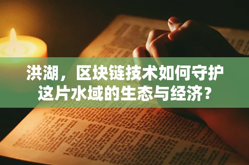 洪湖，区块链技术如何守护这片水域的生态与经济？