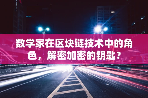 数学家在区块链技术中的角色，解密加密的钥匙？