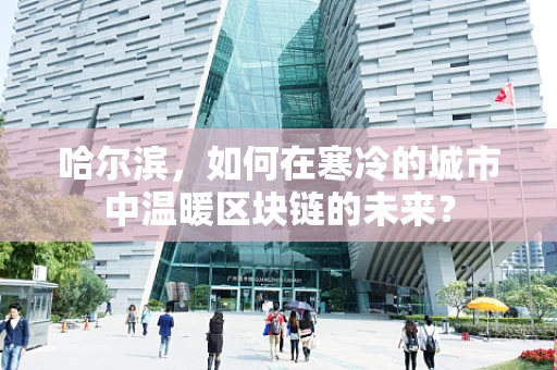 哈尔滨，如何在寒冷的城市中温暖区块链的未来？