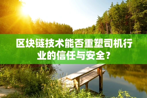 区块链技术能否重塑司机行业的信任与安全？