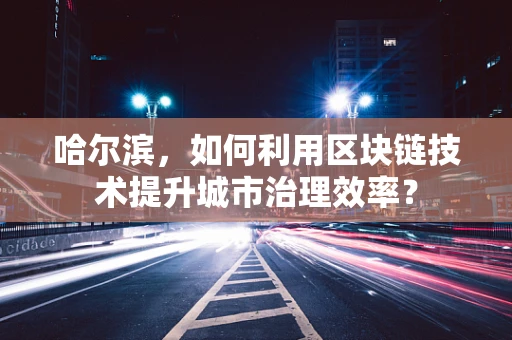 哈尔滨，如何利用区块链技术提升城市治理效率？