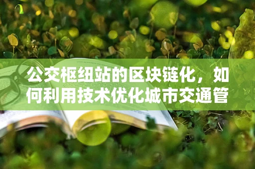 公交枢纽站的区块链化，如何利用技术优化城市交通管理？