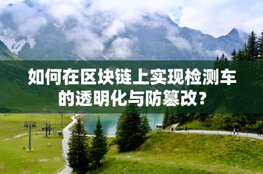 如何在区块链上实现检测车的透明化与防篡改？