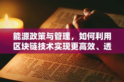 能源政策与管理，如何利用区块链技术实现更高效、透明的能源交易？