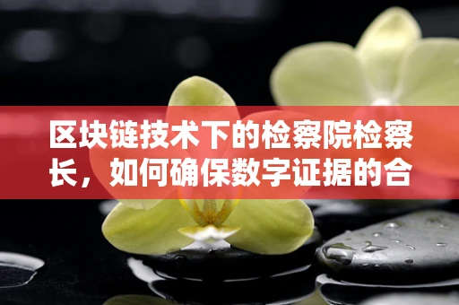 区块链技术下的检察院检察长，如何确保数字证据的合法性与可信度？