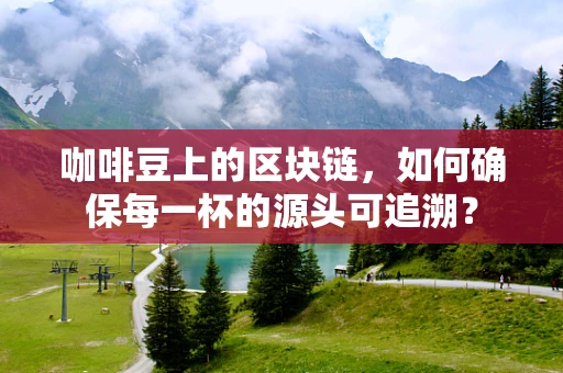 咖啡豆上的区块链，如何确保每一杯的源头可追溯？