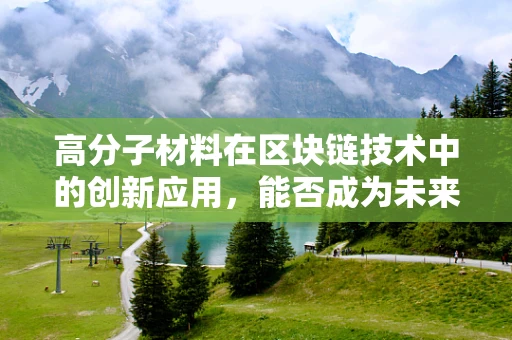 高分子材料在区块链技术中的创新应用，能否成为未来安全与效率的双重保障？