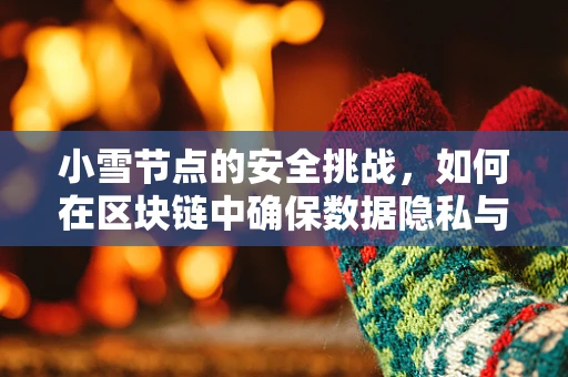 小雪节点的安全挑战，如何在区块链中确保数据隐私与完整性？