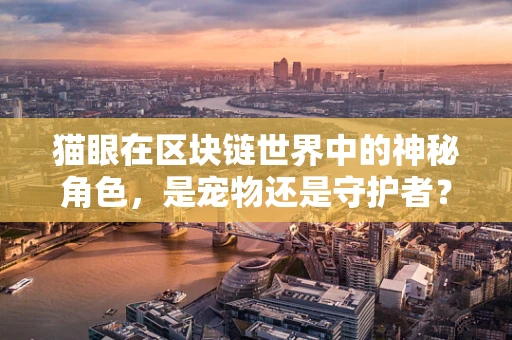 猫眼在区块链世界中的神秘角色，是宠物还是守护者？