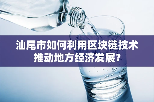 汕尾市如何利用区块链技术推动地方经济发展？