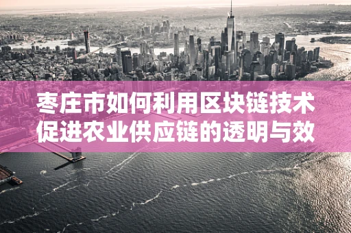 枣庄市如何利用区块链技术促进农业供应链的透明与效率？